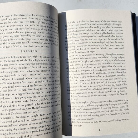 Blue Avenger and the Theory of Everything Book Hardcover By Norma Howe Chapter B - Picture 7 of 11